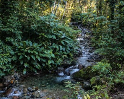 Aberta a Temporada de Trilhas de Montanha em Joinville e Região